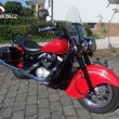 Vla�im VN 800